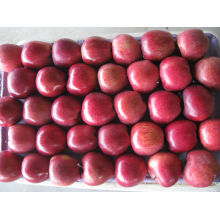 Fresh Huniu apple fruit for sale